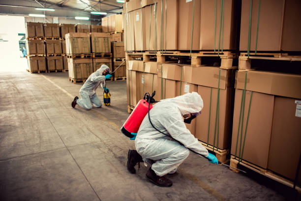 Wasp Removal Services in Kellogg, ID