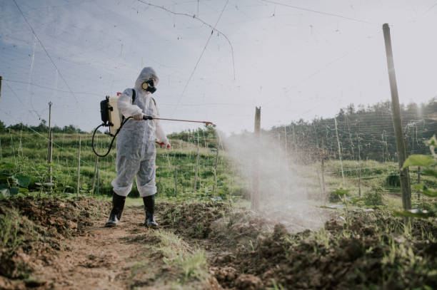 Best Mosquito Control Services  in Kellogg, ID
