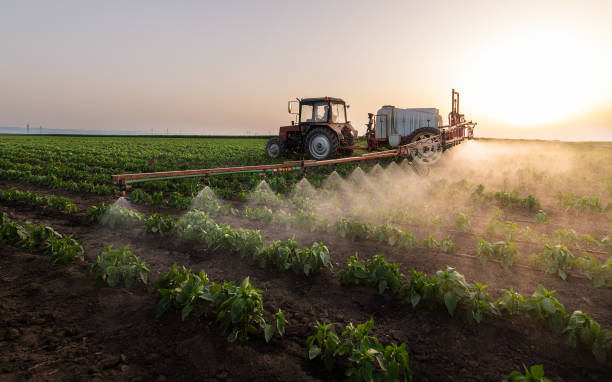 Best Pest Inspection Near Me  in Kellogg, ID