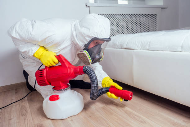 Best Wasp Removal Services  in Kellogg, ID