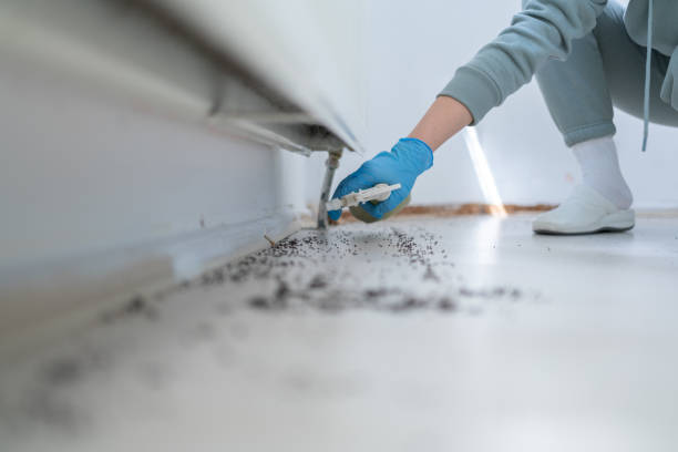 Best Local Pest Control Services  in Kellogg, ID