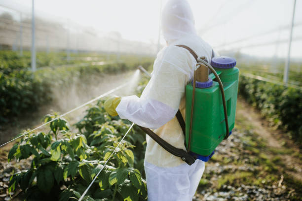 Best Bed Bug Extermination  in Kellogg, ID